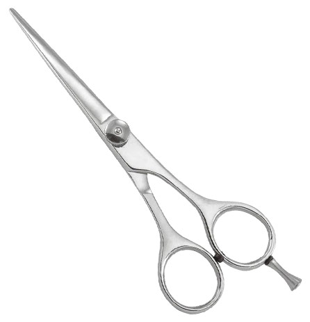 Professional Razor Eadge Shears